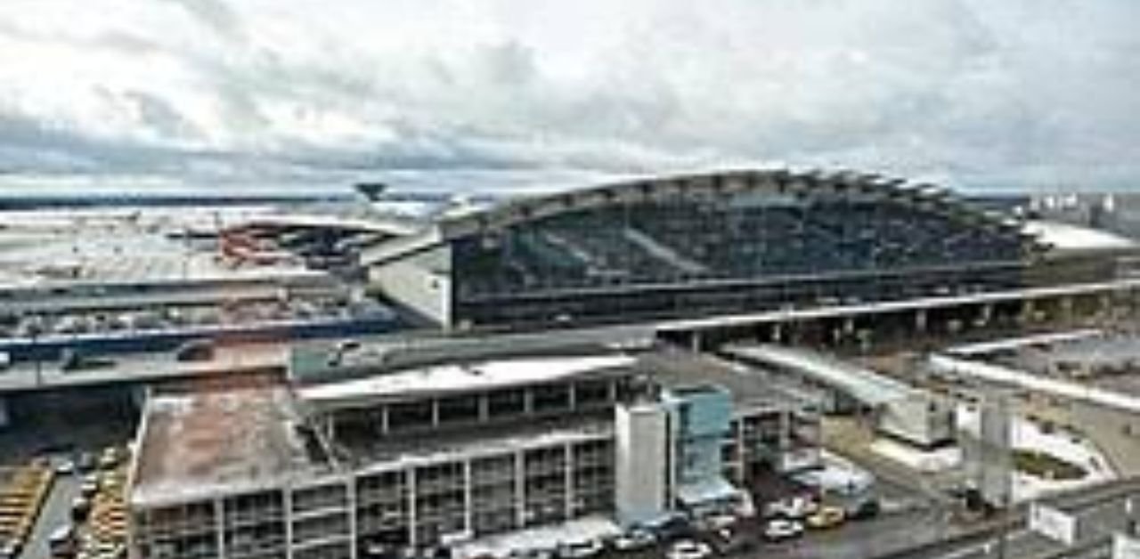 Iberia Airlines VKO Terminal